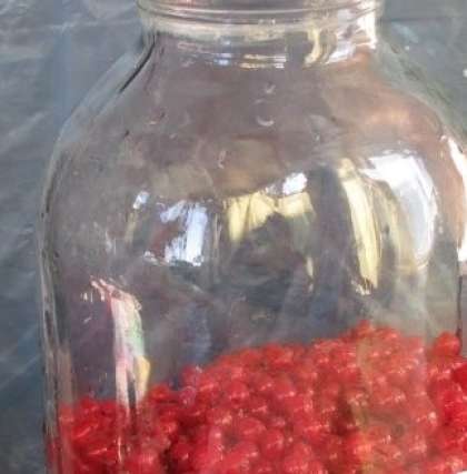 Потом наполните стерилизованные заранее банки чистыми ягодами смородины практически наполовину.