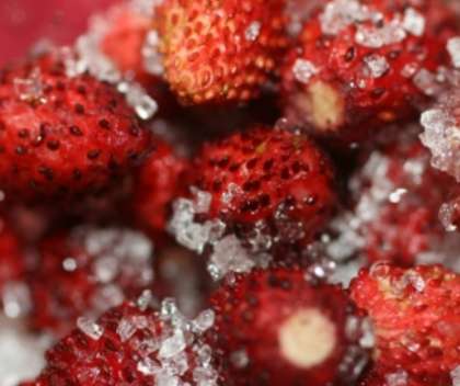 Выложите затем помытые ягоды в эмалированную емкость. Засыпьте ягоды земляники сахарным песком и оставьте так на два-три часа, что бы они отдали весь свой сок.
