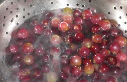 Подготовьте виноград. Его нужно перебрать от гнилых ягод и мелкого мусора. Затем отделите ягоды от веточек и промойте под водой (холодной). Затем окуните их на несколько минут в кипящую воду.