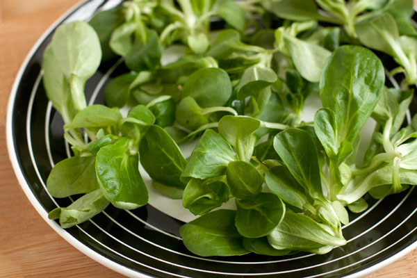 Листья вымытого и высушенного салата разложите на тарелки. Сорт салата может быть разным, на фотографии — корн.