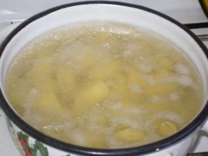 В подсоленной воде отварите картофель. Для приготовления данного блюда лучше всего подойдет картофель разваривающихся или рассыпчатых сортов.