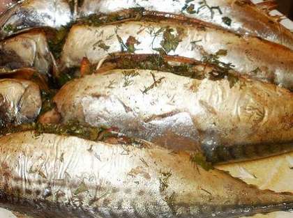 После этого натрите рыбу нужно перцем черным и солью. Затем брюхо скумбрии нужно начинить нарубленным чесноком и зеленью. Затем аккуратно порежьте рыбу на порционные куски. На дно противня положите фольгу.