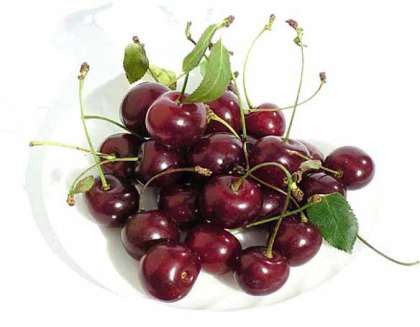 Предварительно осмотрите  ягоды вишни на наличие повреждений и тщательно промойте их проточной водой.