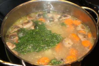 Затем добавить в суп поджарку из лука, моркови и вермишели. Варить в течение 5-7 минут, в конце добавить мелко нарубленный укроп. Суп готов, получается очень нежное и вкусное блюдо, которое не придаст чувство тяжести вам. Приготовить суп не сложно, все ингредиенты вполне доступны, поэтому данный рецепт супа можно смело брать на заметку. Суп можно приготовить более сытный и густой, добавив больше шампиньонов и картошки. Приятного аппетита!