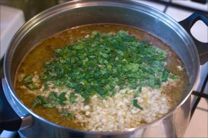 Готовый суп разливаем по порционным тарелкам, подаем со свежей зеленью, можно также со сметаной. Харчо из баранины получается просто великолепным.