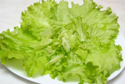 Ополосните листья зеленого салата холодной водой. Обсушите. Выложите в центр порционных тарелок.