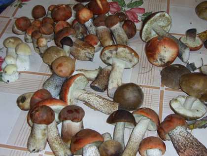 Перебрать грибы, перемыть их 5-6 раз в холодной воде. Дать воде очень хорошо стечь.