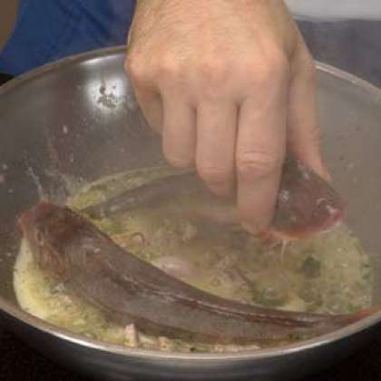 Добавьте гурнард (или capone gallinella) и готовьте.