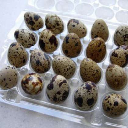 Разбить все яйца в общую миску.