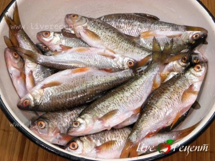 Чтобы приготовить рыбные консервы, мелкую рыбку чистим и потрошим.