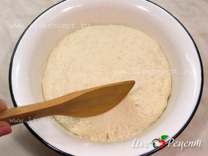 Кладем тесто в миску, накрываем влажным полотенцем и ставим в теплое место на 1 час, тесто должно увеличиться вдвое.