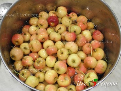 Яблоки заливаем теплым сиропом и оставляем настояться. Когда сироп остынет, ставим на медленный огонь, доводим до кипения. Варим не более 10 мин.