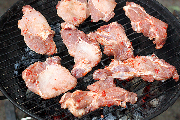 Разожгите угли в барбекюшнице или <a href="http://supermangal.ru/">мангале</a> с решеткой. Дождитесь, пока пламя исчезнет, а угли станут беловатыми. Разложите мясо на решетке.