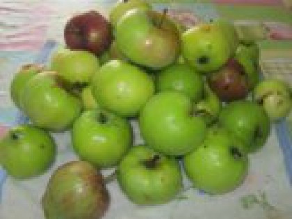 1 Яблоки помыть Я люблю яблочки с кислинкой, поэтому для приготовления пюре брала именно их. Плоды тщательно промыть.