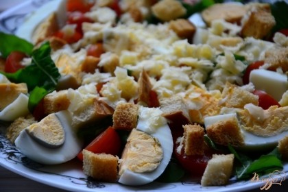 На плоскую тарелку выложить листья рукколы (порвать руками), выложить яйца и помидор, сухарики. Посыпаем тертым сыром.