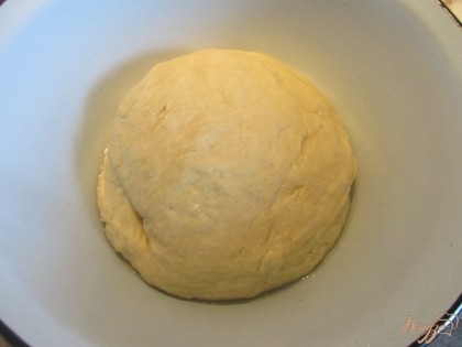 Добавляем 2,5 ст. муки, замешиваем тесто. Кладем его в смазанную растительный маслом миску и ставим в теплое место на 50-60 минут.