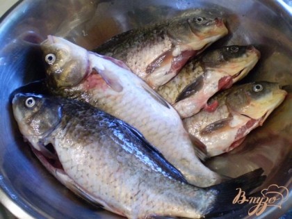 Рыбу нужно подготовить к тепловой обработке. Удалить жабры, внутренности. Тщательно промыть под проточной водой.