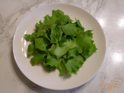 Кладем на тарелочку листья салата и шпината, предварительно порвите их руками на кусочки. Добавьте листочки петрушки.