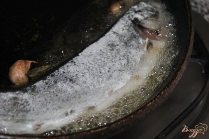 Поставить глубокую сковороду на огонь, налить побольше масла, бросить на сковороду целый неочищенный чеснок. Обмакнуть рыбу в муке и жарить, чтобы масло попадало внутрь рыбки и хамон также прожаривался. Он будет хрустящий и очень вкусный. Солить рыбу не нужно, так как хамон соленый и этого достаточно.