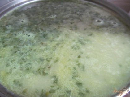 Через 15 минут в кастрюлю вылить молоко (пусть закипит) и потом шпинат. Солим, перчим и добавляем любимые специи. По желанию можно добавить зеленый лук.