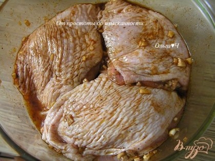 Смешать все ингредиенты, кроме курицы и тыквы. Куриные бедра обвалять в полученной пряной массе и оставить на 1 час.