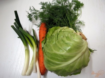 Для приготовления салата, нам понадобится капуста, укроп, морковь и зелёный лук.