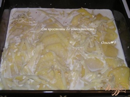 Сверху укладывать слоями внахлест тонко нарезанный картофель, каждый слой поливать сливочно-молочной смесью, солить и перчить.