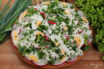 Готово! Мелко режем зеленый лук, посыпаем им весенний салат с редисом и подаем к столу. Приятного аппетита.