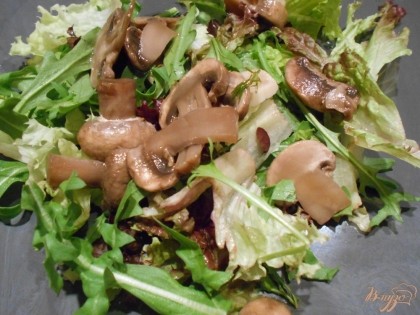 С маринованных грибов сливаем жидкость и, при необходимости, измельчаем. На блюдо выкладываем листья салата и сверху - грибы.