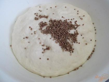 Через час тесто увеличится в объеме, добавим кориандр в зернах и замесим тесто с кориандром.