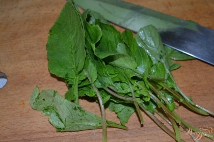 Ранний редис почти всегда продают в пучках. Зеленые листья от редиса мы будем использовать в наше салате. Предварительно ее нужно промыть и высушить.