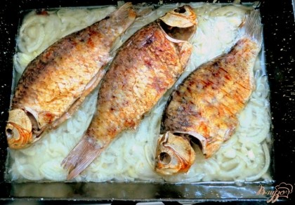 На лук выкладываем рыбу. Её также сбрызгиваем растительным маслом. Но и это не всё, Между рыбой на лук налейте горячую воду, так, чтобы воду не лить на рыбу, а между ней. Вода должна покрыть лук.