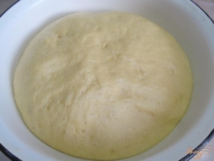 Миску смазать растительным маслом (так тесту будет легче подниматься) и выложить тесто. Закрыть пленкой и поставить в теплое место. Тесто должно увеличиться в объеме в три раза.