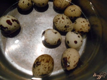 Отвариваем перепелиные яйца в подсоленой воде  3-4 минуты. Очищаем их и даем им остыть.