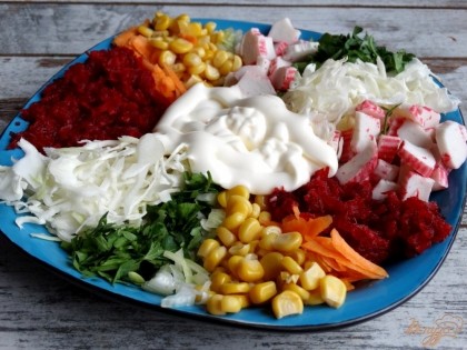 В центр тарелки выложите сметану или майонез. Весь салат посолите по вкусу.