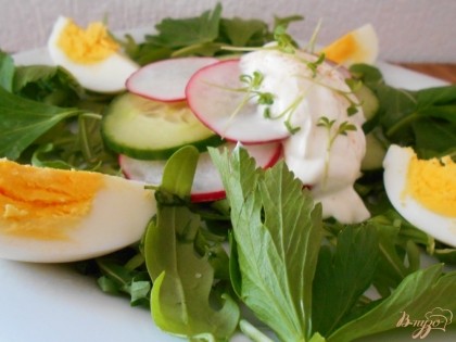 Готово! Разрезаем яйца на четвертинки, выкладываем их на блюдо, украшаем салат зеленью и подаем к столу.