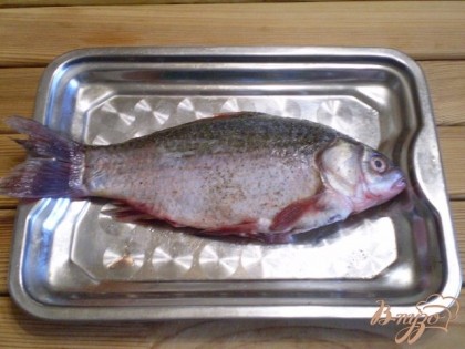 Возьмите удобную тару и посолите в ней рыбу, поперчите. Можно использовать специи для рыбы или любые другие. Оставьте рыбу на 15 минут.