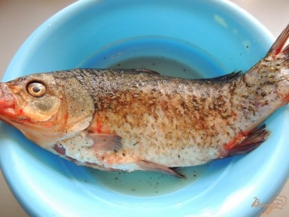 Рыбу чистим, потрошим, солим и добавляем специи для рыбы по вкусу. Оставляем на 30 минут.