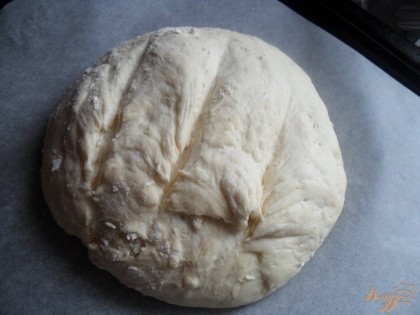 когда тесто подошло, обмять его и сформировать шар. положить хлеб на противень застеленный пекарской бумагой. на хлебе сделать надрезы.