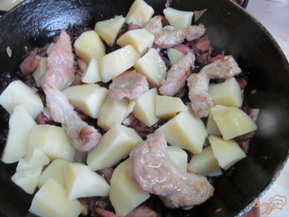 Выложить отваренную картофель без жидкости и сверху мясо. Влить молоко или половину стакана жидкости в которой варился картофель. Накрываем крышкой и тушим 15 минут после закипания.