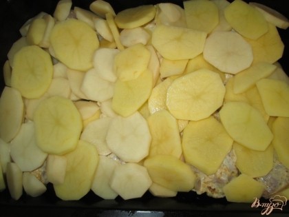 Затем равномерно уложить порезанный кружочками картофель.