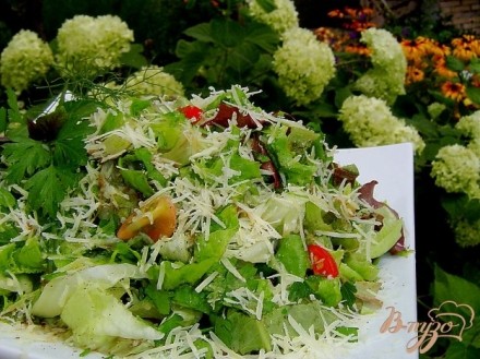 Зеленый салат с помидорами черри и пармезаном