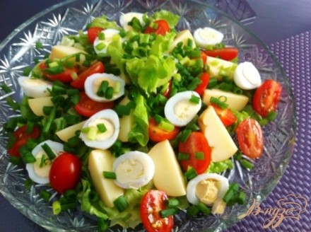 Салат из перепелиных яиц и копченого сыра Провалетта