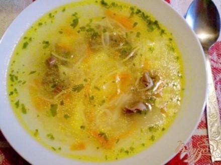 Суп с вермишелью и желудками