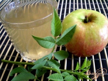 Яблочно-шиповниковый компот