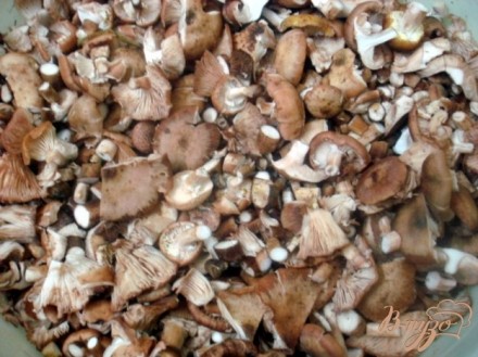 Заморозка грибов на зиму
