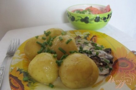 Картофель с кабачками под сметанным соусом.