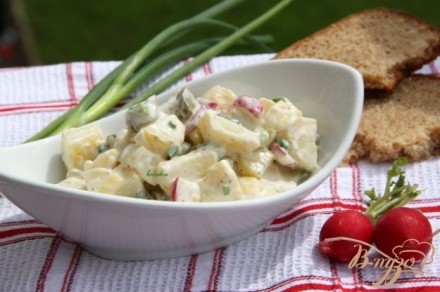 Немецкий картофельный салат с редисом и маринованными огурчиками