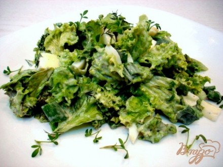 Салат из листового салата