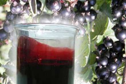 Домашнее вино из черной смородины